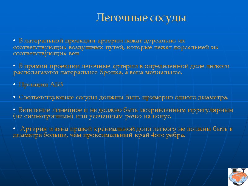 В латеральной проекции артерии лежат дорсально их соответствующих воздушных путей, которые лежат дорсальней их